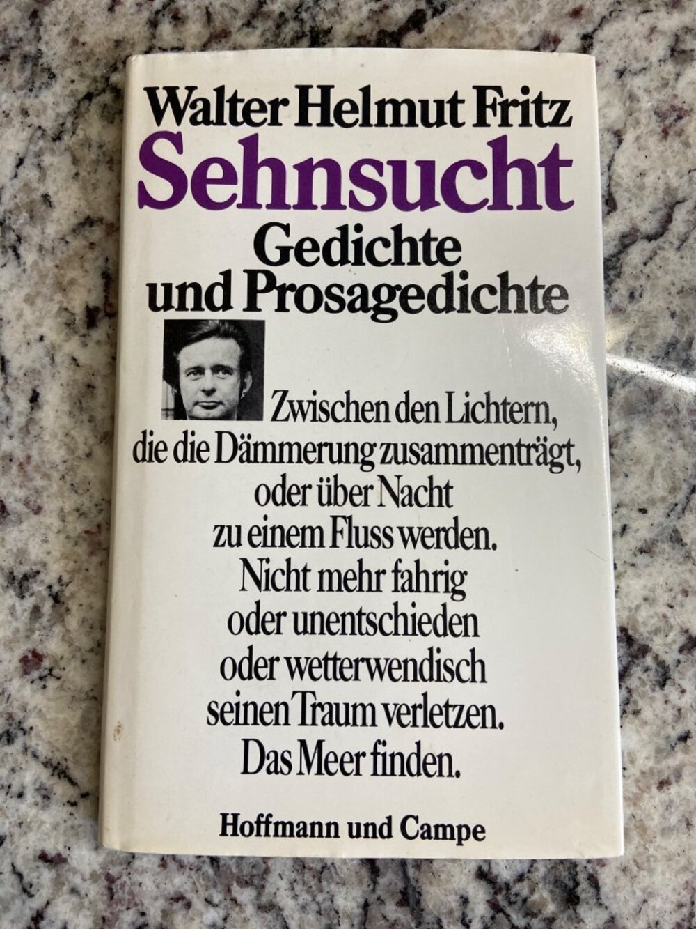 Sehnsucht Gedichte Fritz German Poetry 1978 HC Hoffmann Campe Book